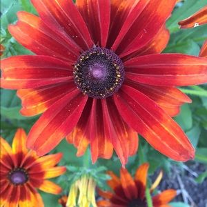 Meet your Posher, Melanie