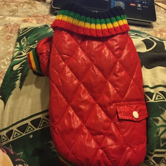 Dog jacket