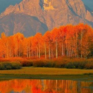 Meet your Posher, Kristy