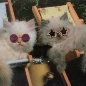 Meet your Posher, Aubrey