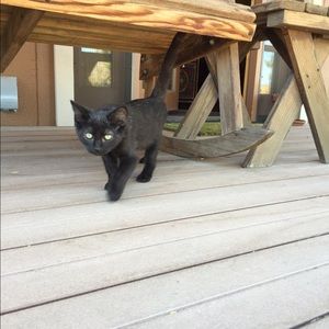 Meet your Posher, Kate