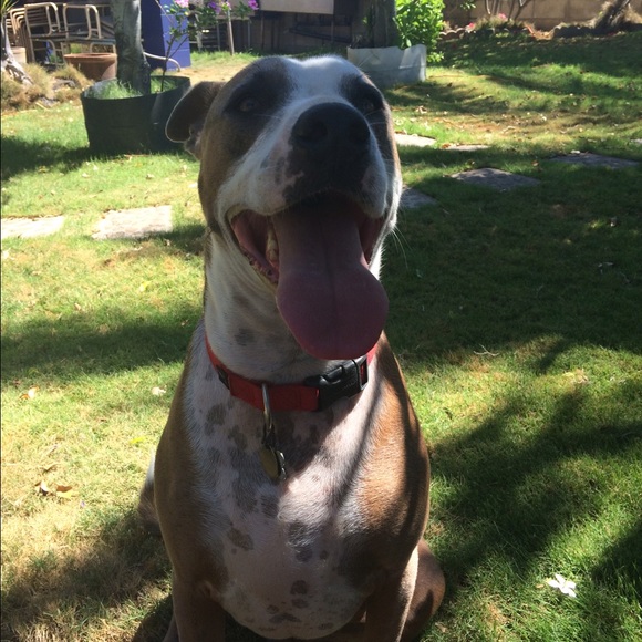 Meet your Posher, Moe - Picture 2 of 2