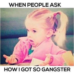 Meet your Posher, Holly