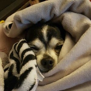 Meet your Posher, Michelle