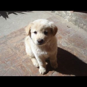 Meet your Posher, Kiara