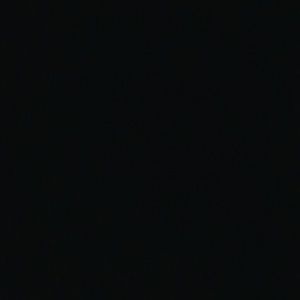 Meet your Posher, Eva