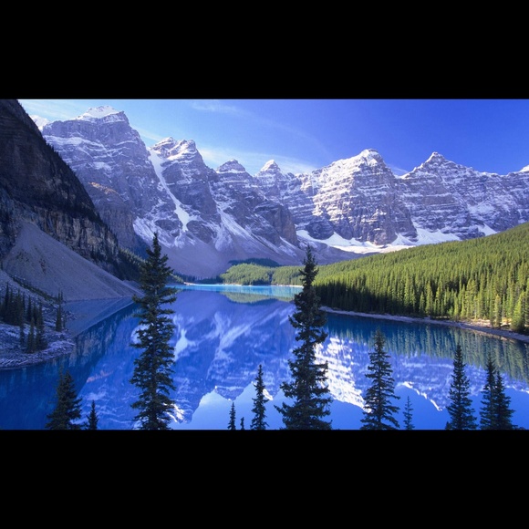 Meet your Posher, David - Picture 1 of 1