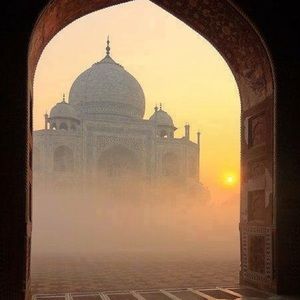 Meet your Posher, Joey