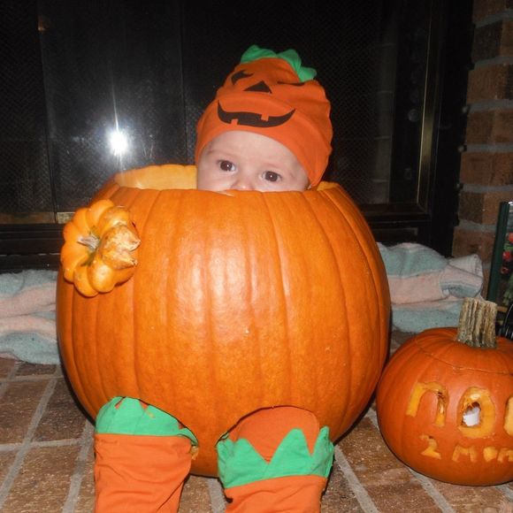 Meet your Posher, Katy - Picture 1 of 1