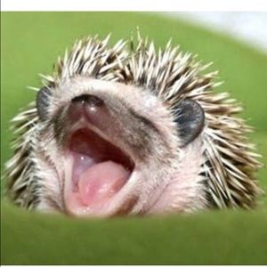 Meet your Posher, Randi