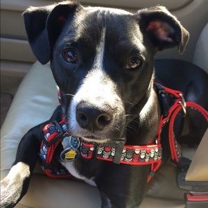 Meet your Posher, Brooke