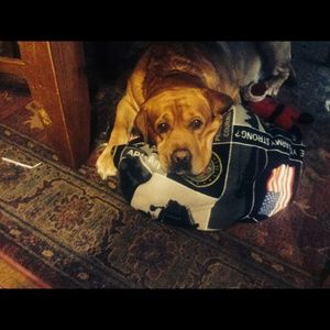 Meet your Posher, Sara