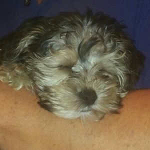 Meet your Posher, Pamela