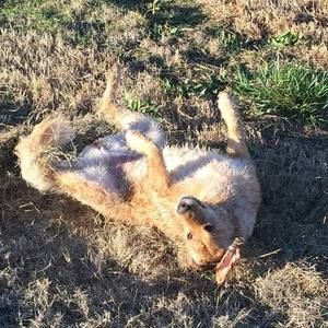 Meet your Posher, Stacia