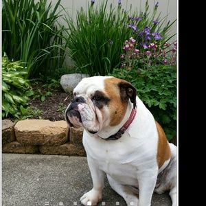 Meet your Posher, Kristin