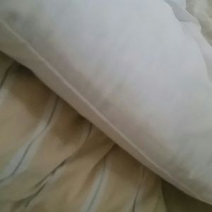 Meet your Posher, Lucinda