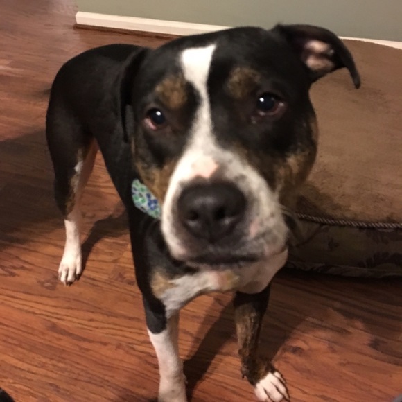 Meet your Posher, Catherine