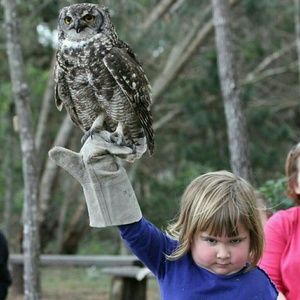 Meet your Posher, Carter