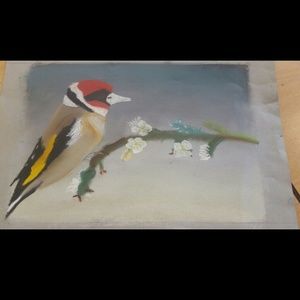 Meet your Posher, Tyra