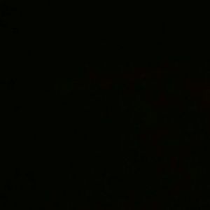 Meet your Posher, Shayla