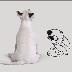 Meet your Posher, Sandy