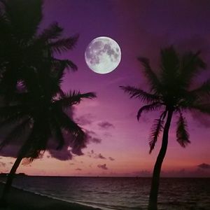 Meet your Posher, Mikia