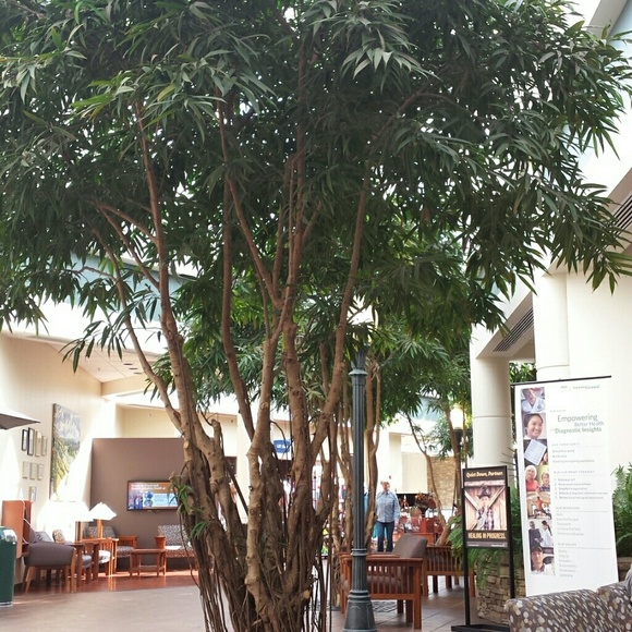 Meet your Posher, Patsy - Picture 1 of 1