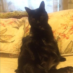 Meet your Posher, Doreen