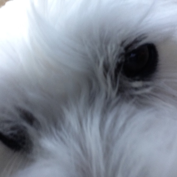 Meet your Posher, Kate - Picture 3 of 9