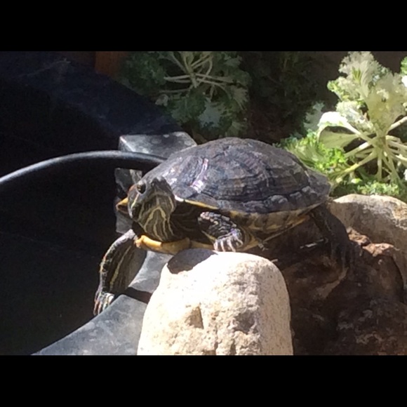 Meet your Posher, Kate - Picture 4 of 9