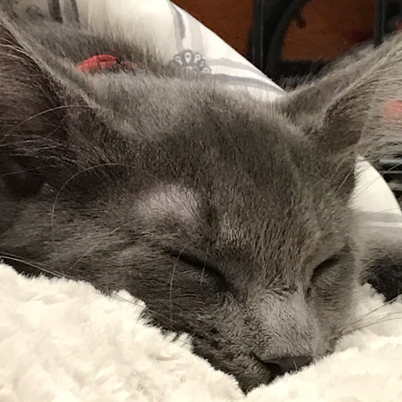 Meet your Posher, Kate - Picture 7 of 9