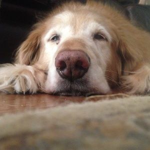 Meet your Posher, Mackenzie