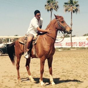 Meet your Posher, Steven