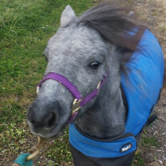 Meet your Posher, Shannon - Picture 4 of 4