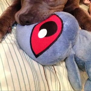 Meet your Posher, Mel