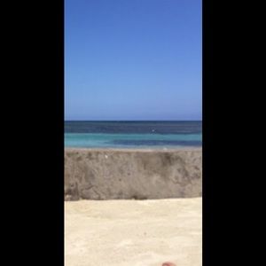 Meet your Posher, Autumn