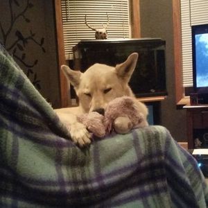 Meet your Posher, Monica