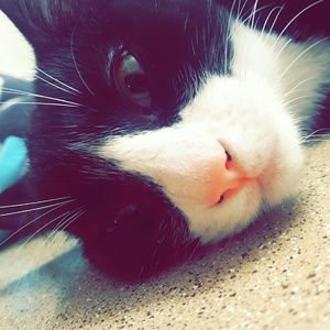 Meet your Posher, Nick