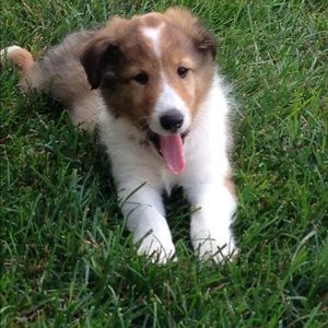 Meet your Posher, Karen