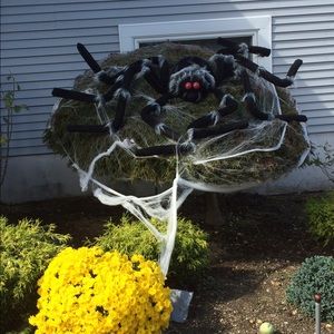 Meet your Posher, Natasha