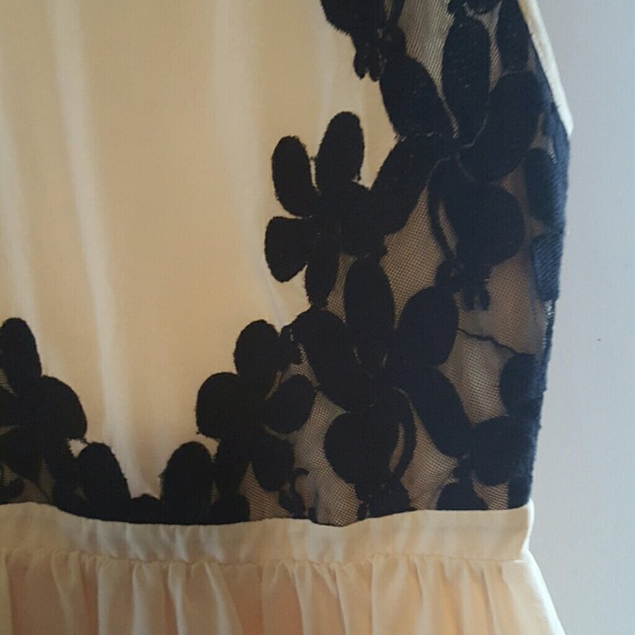 Creme colored dress with black sheer - Picture 3 of 3