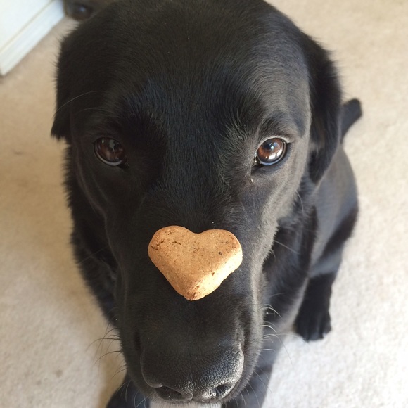 Meet your Posher, Monica - Picture 3 of 4