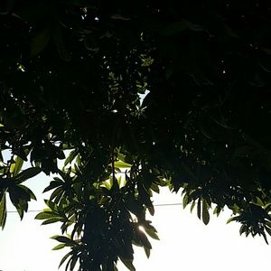 Meet your Posher, Marie