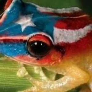 Meet your Posher, Jose