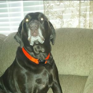 Meet your Posher, Ericka