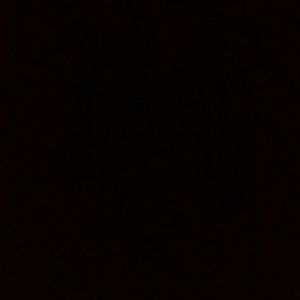 Meet your Posher, Rozie