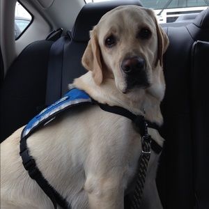 Meet your Posher, Ashley