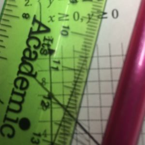 Meet your Posher, Berthalie