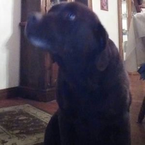 Meet your Posher, Beverly