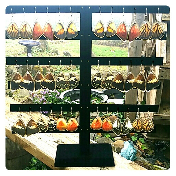 Butterfly Wing Earrings *real* from Costa Rica